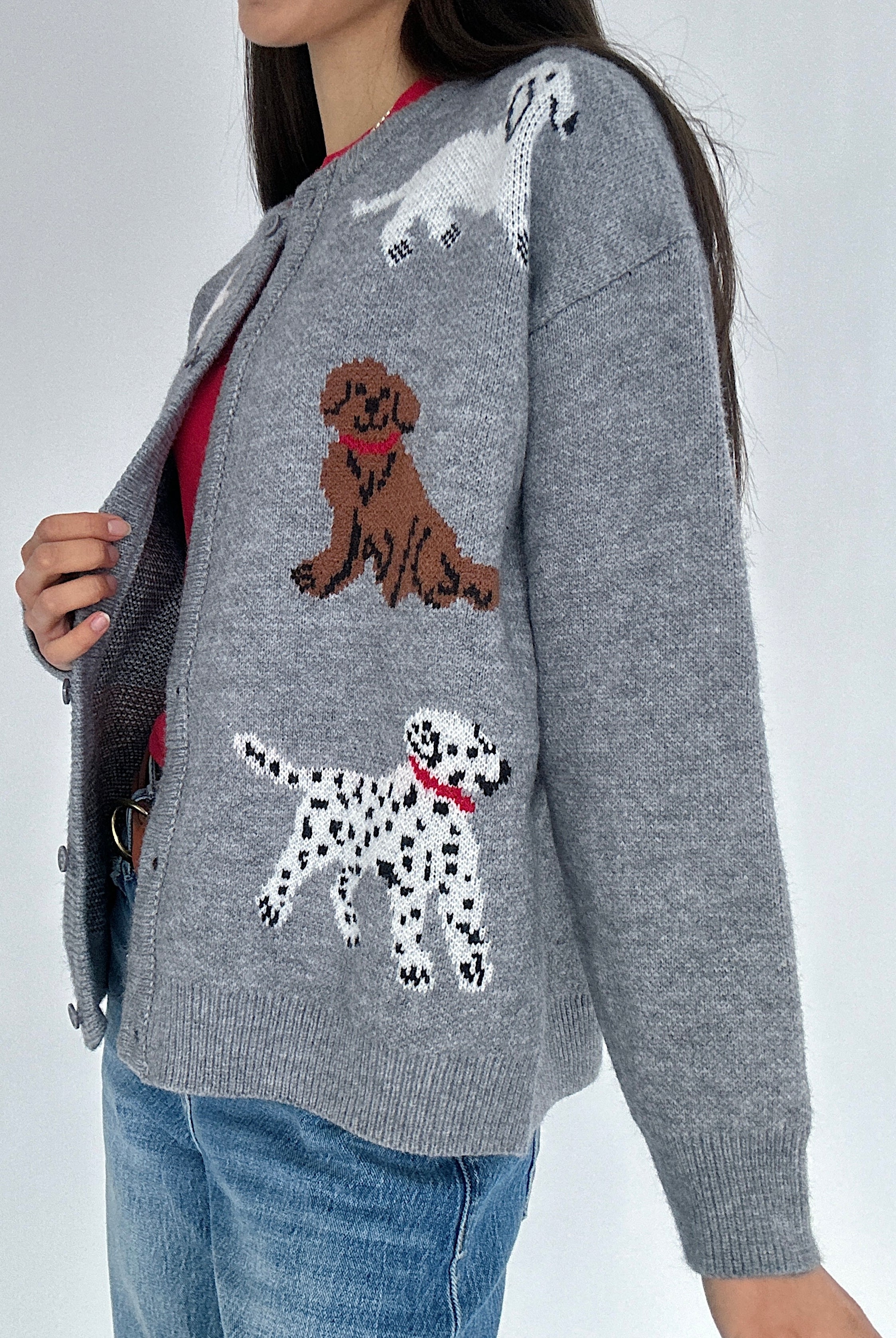 Person wearing a gray sweater with dog illustrations on a white background