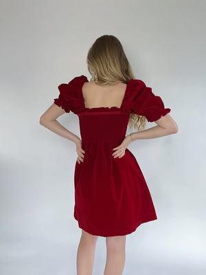 Oren Velvet Mini Dress