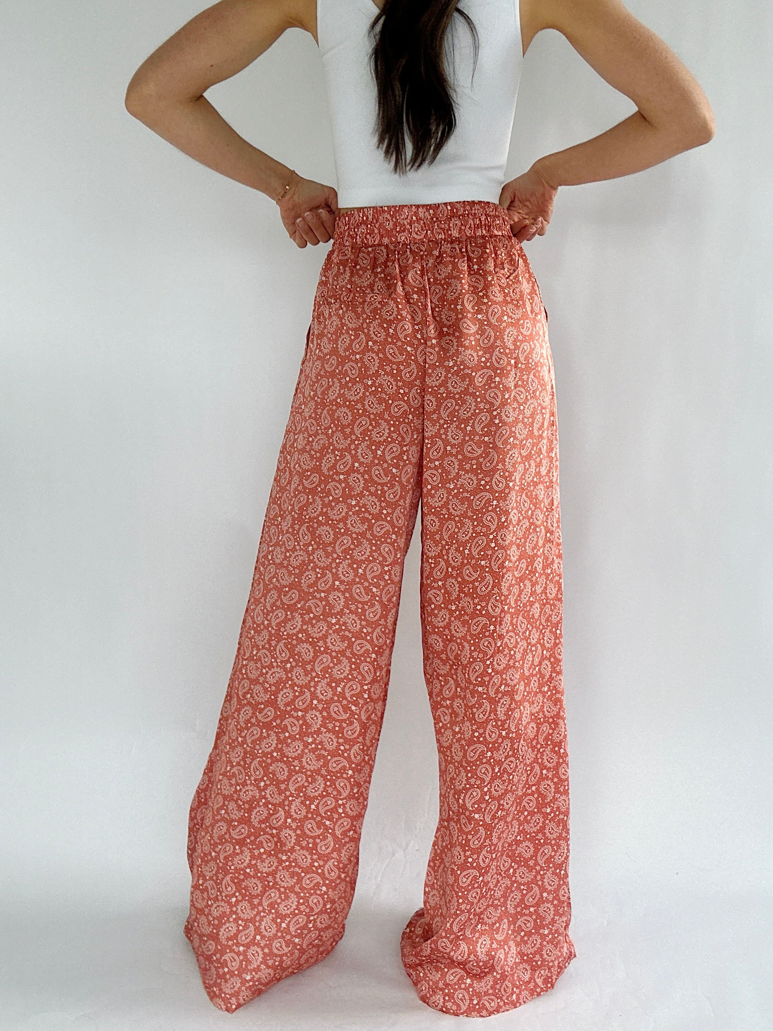 In The Moment Paisley Pants Back