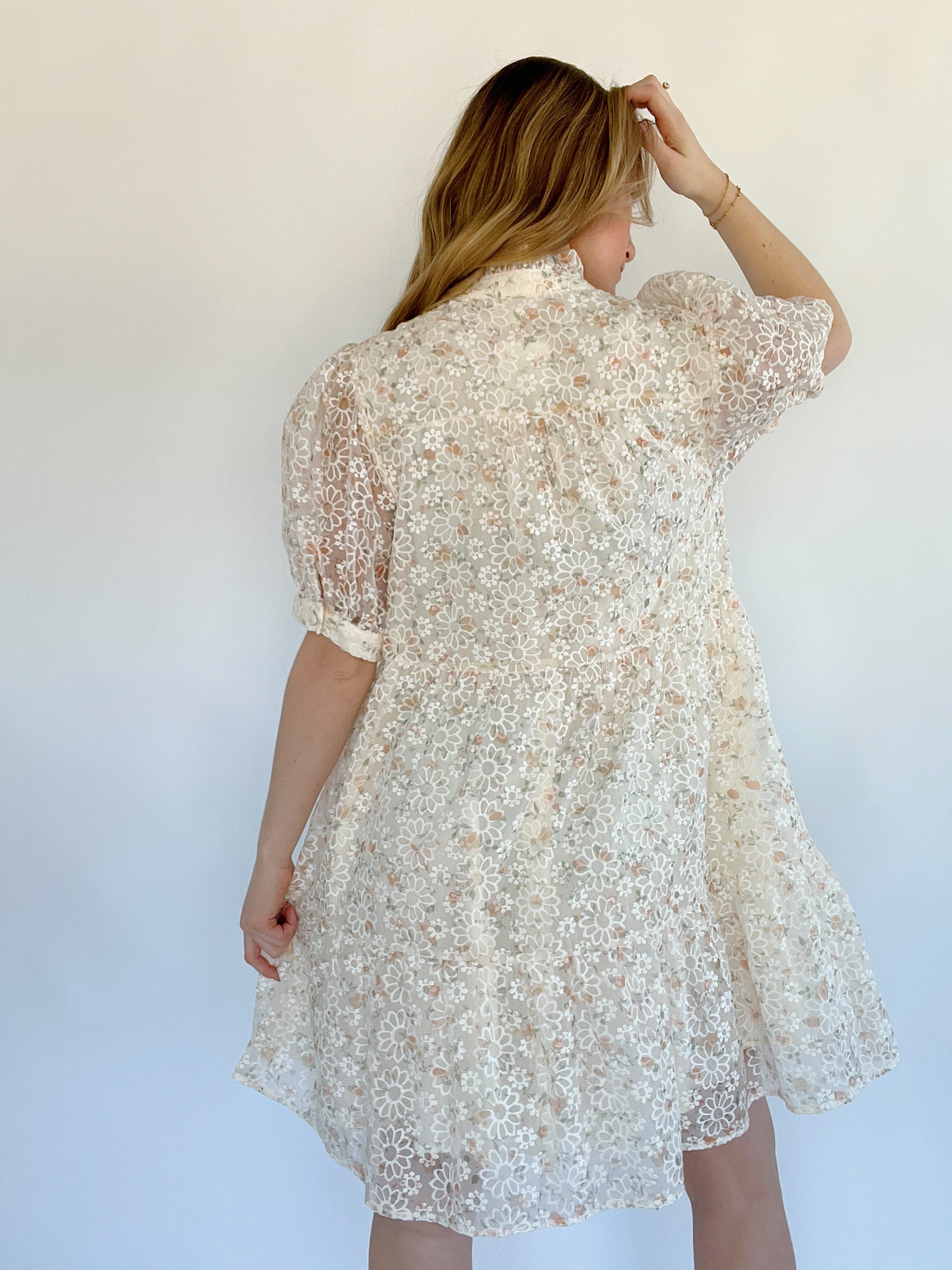Linley Embroidered Floral Mini Dress Back